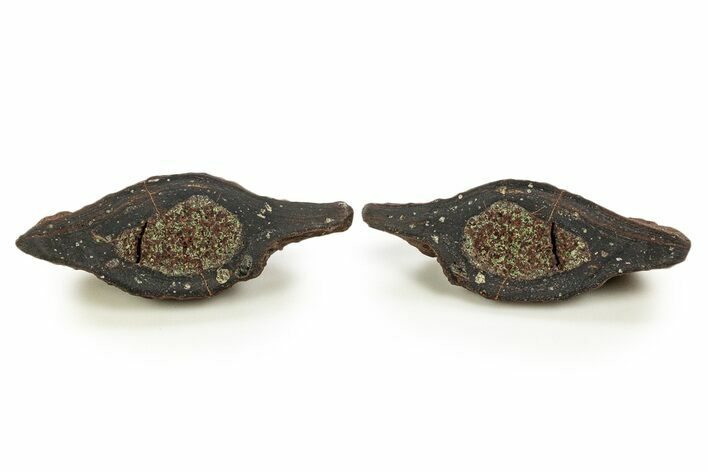 Sliced Olivine Crystal Filled Volcanic Bomb (Pair) - Spain #334785